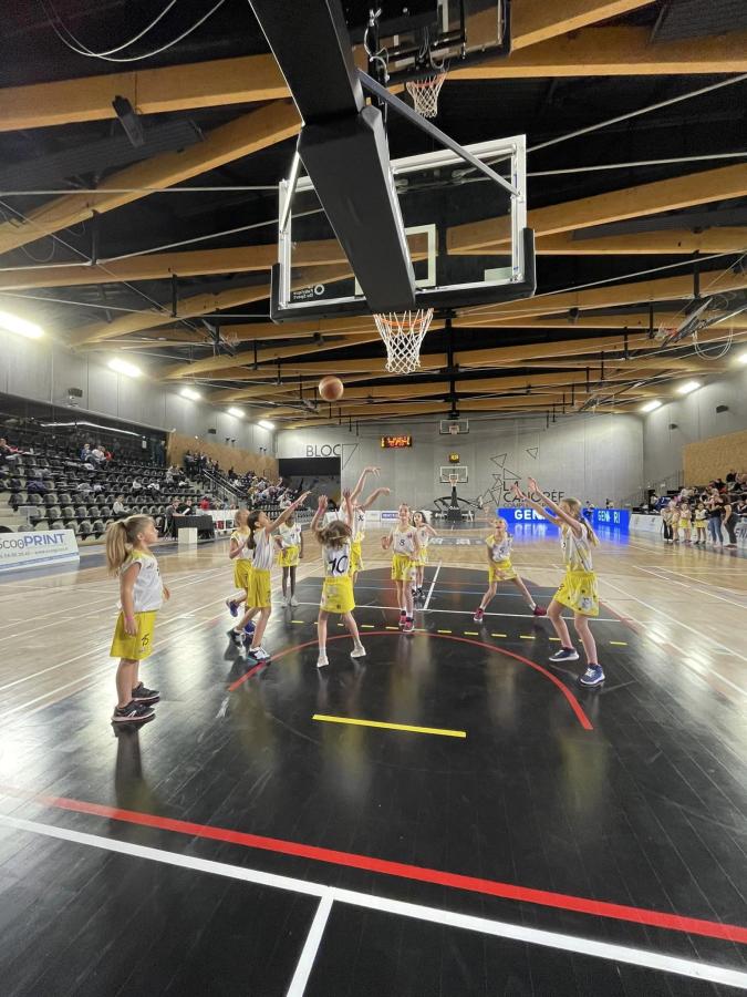 316038773_586876320106106_5236672219430630238_n