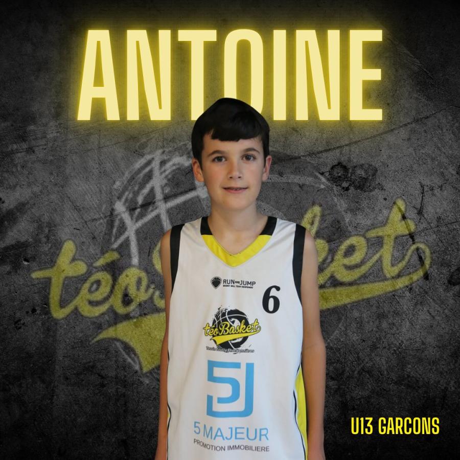  Pr sentation D quipe TEO BASKET