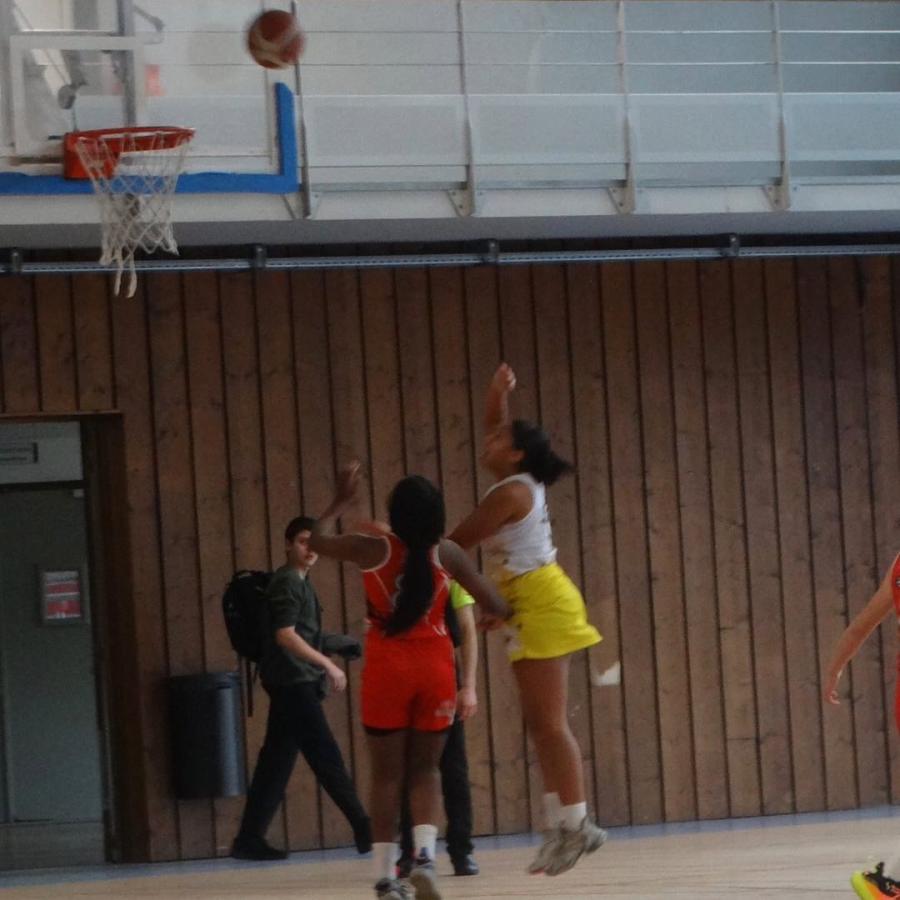 332780727_1272747319942127_9205273509876385790_n